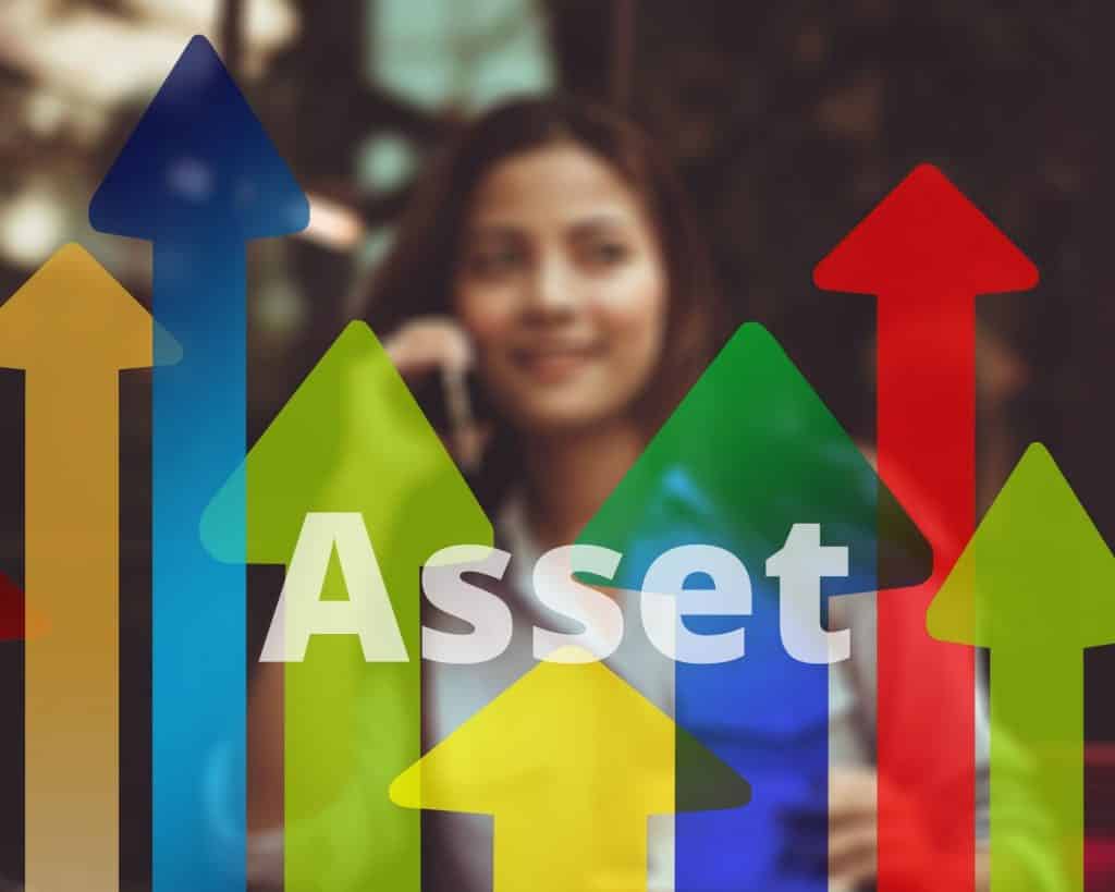 O que Significa Asset 
